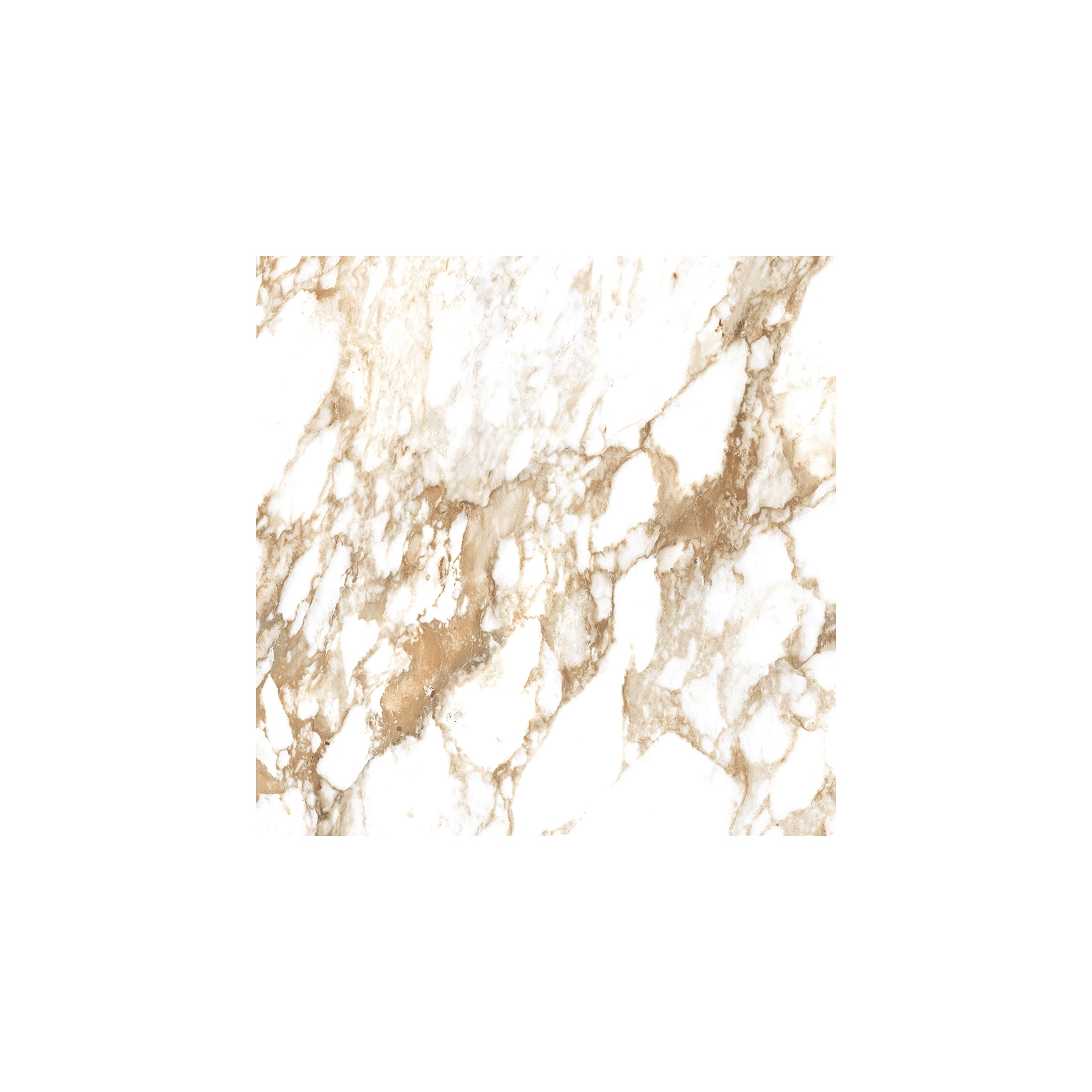 GOLDEN CALACATTA WHITE (P) PULIDO RECT 8MM 60 X 60