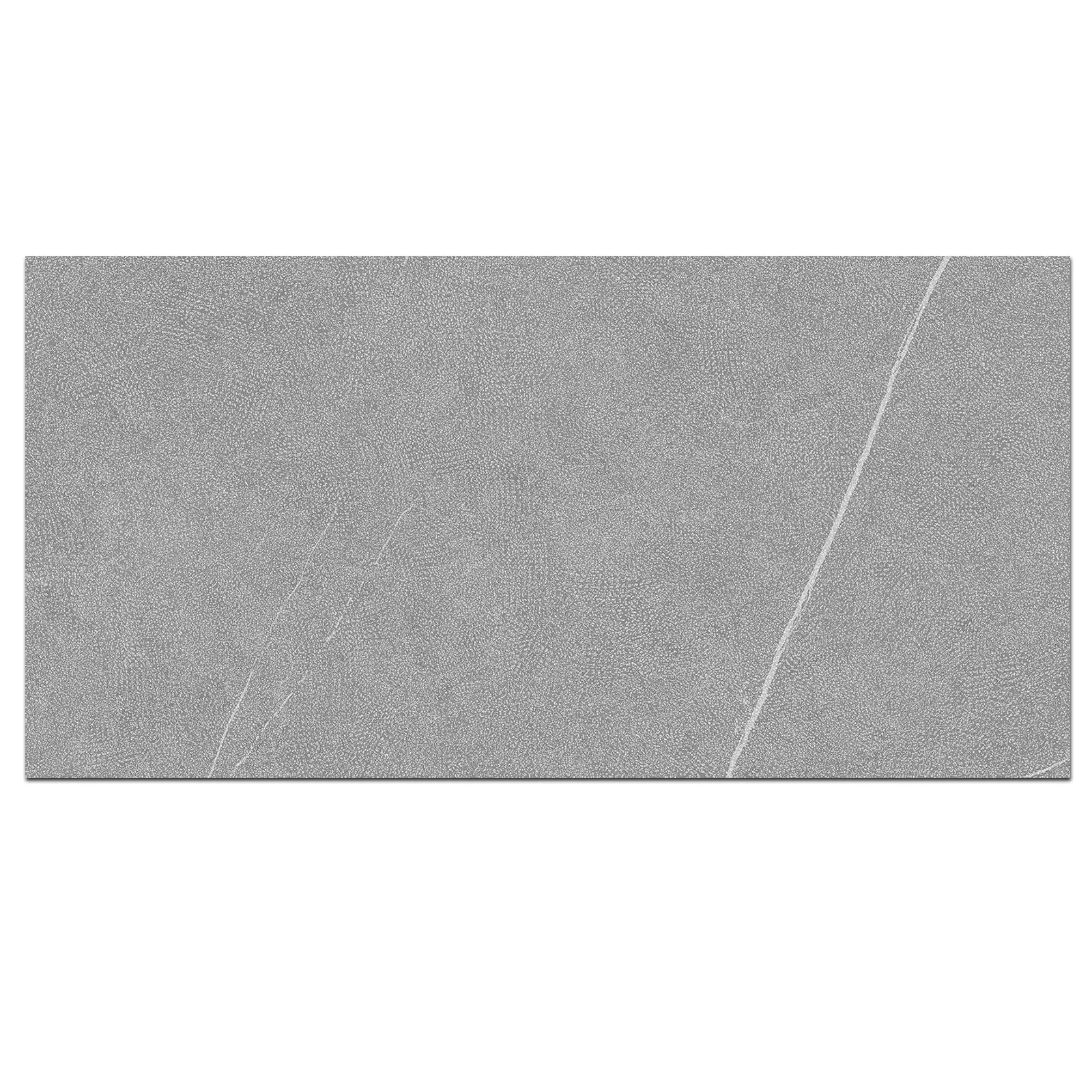 ALLURE GREY (P) 119.8 X 269.8