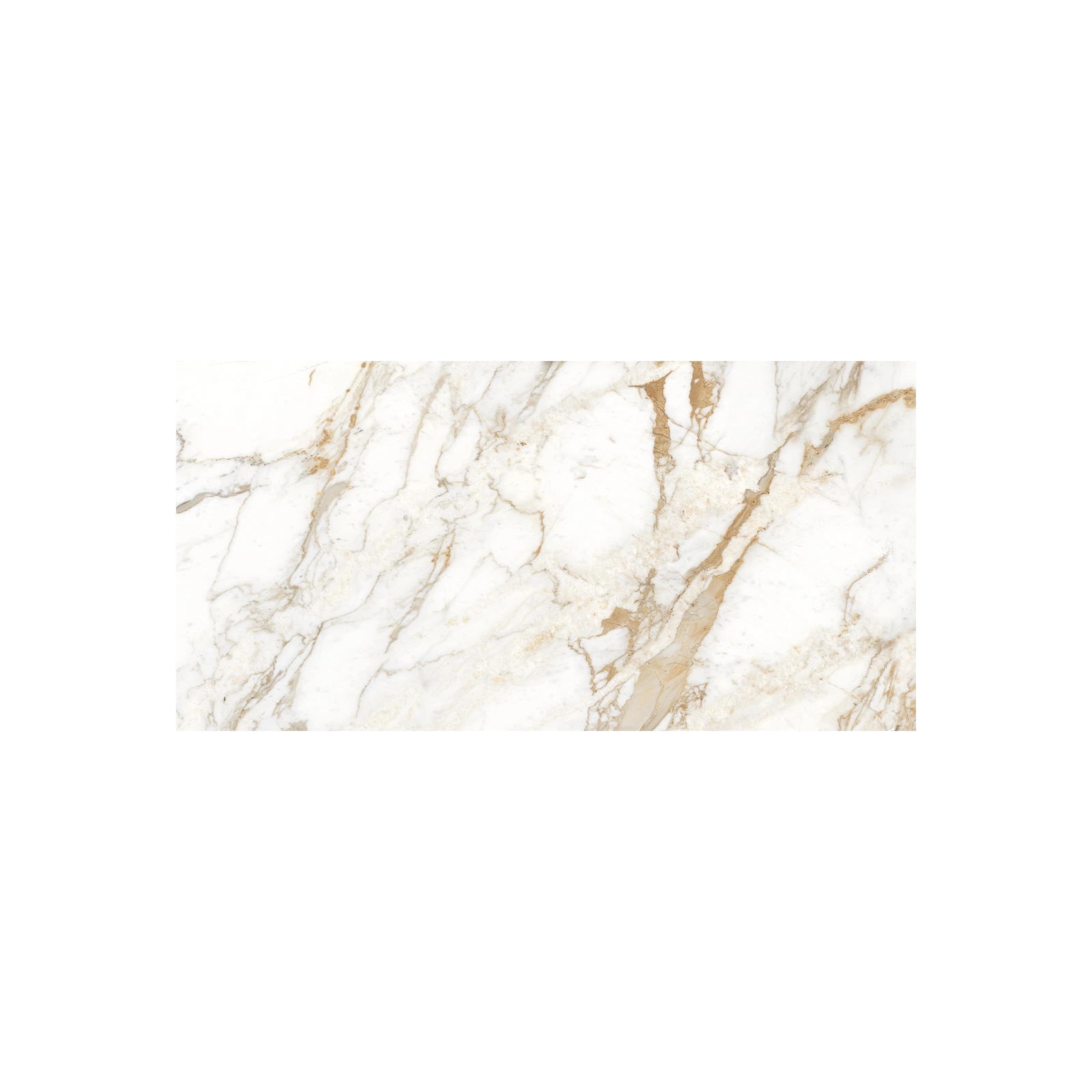 GOLDEN CALACATTA WHITE SILK RECT. 80 X 160