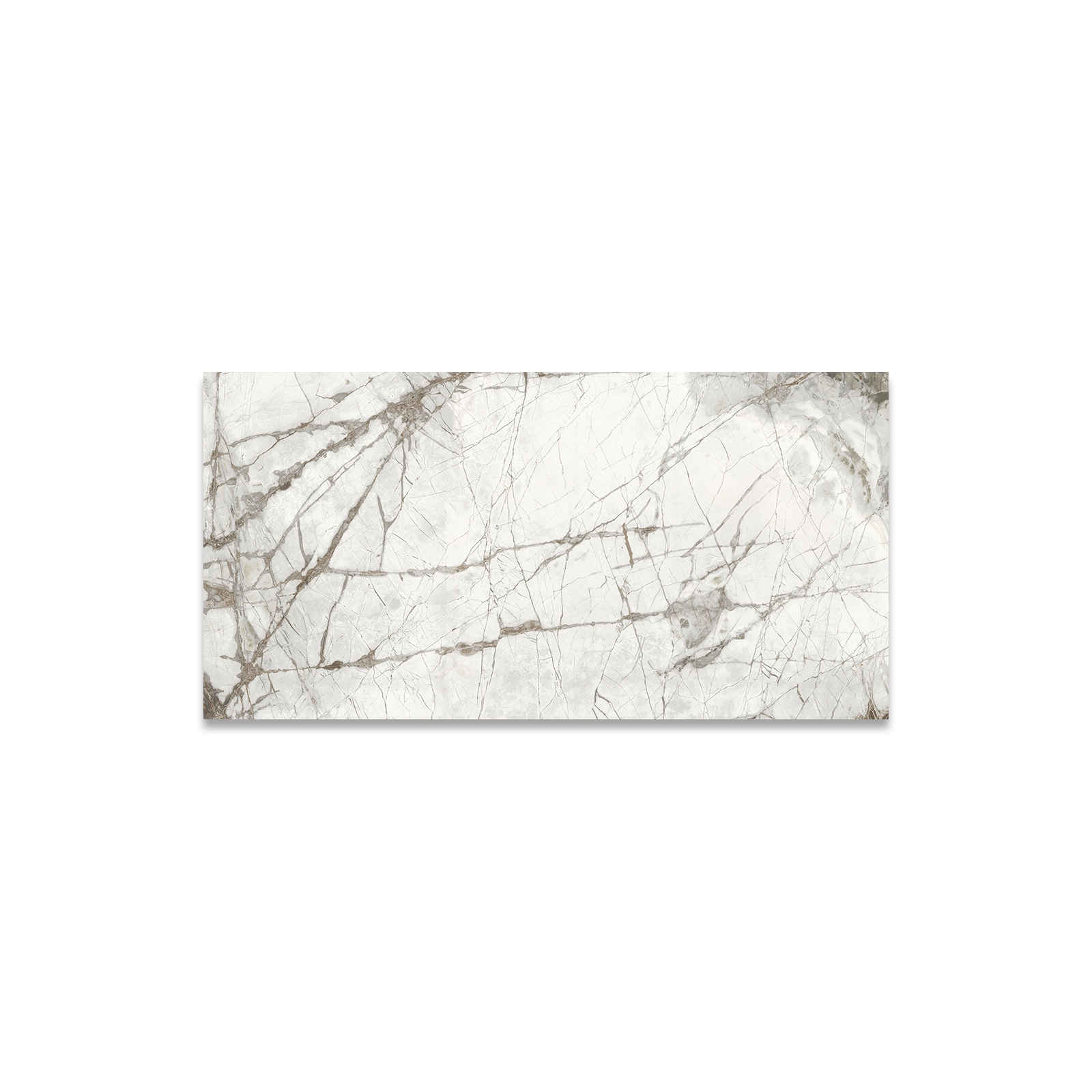 ARGOS GRIS MATE RECT. 60 X 120