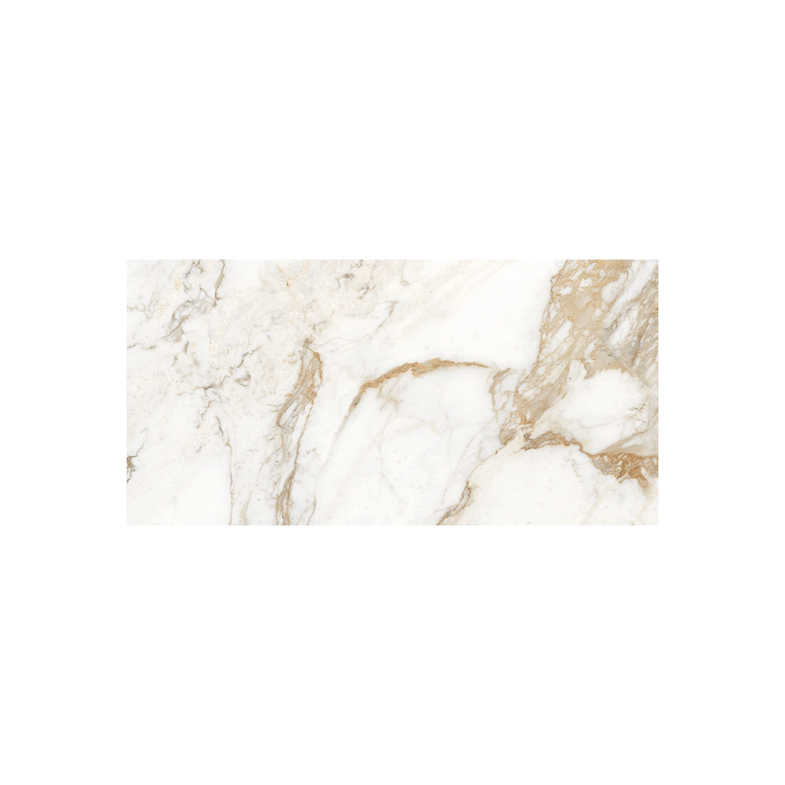 GOLDEN CALACATTA WHITE SILK RECT. 80 X 160