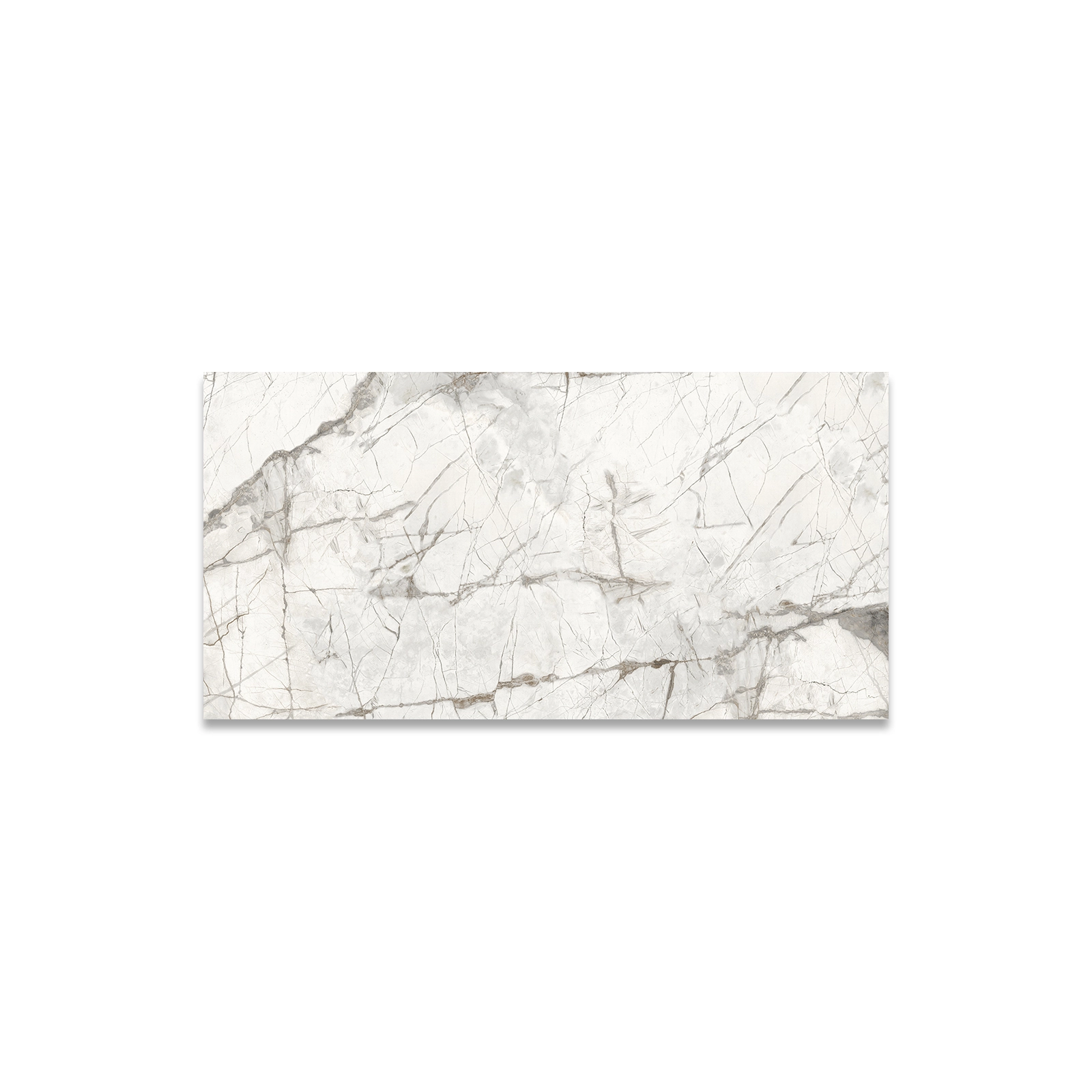ARGOS GRIS MATE RECT. 60 X 120