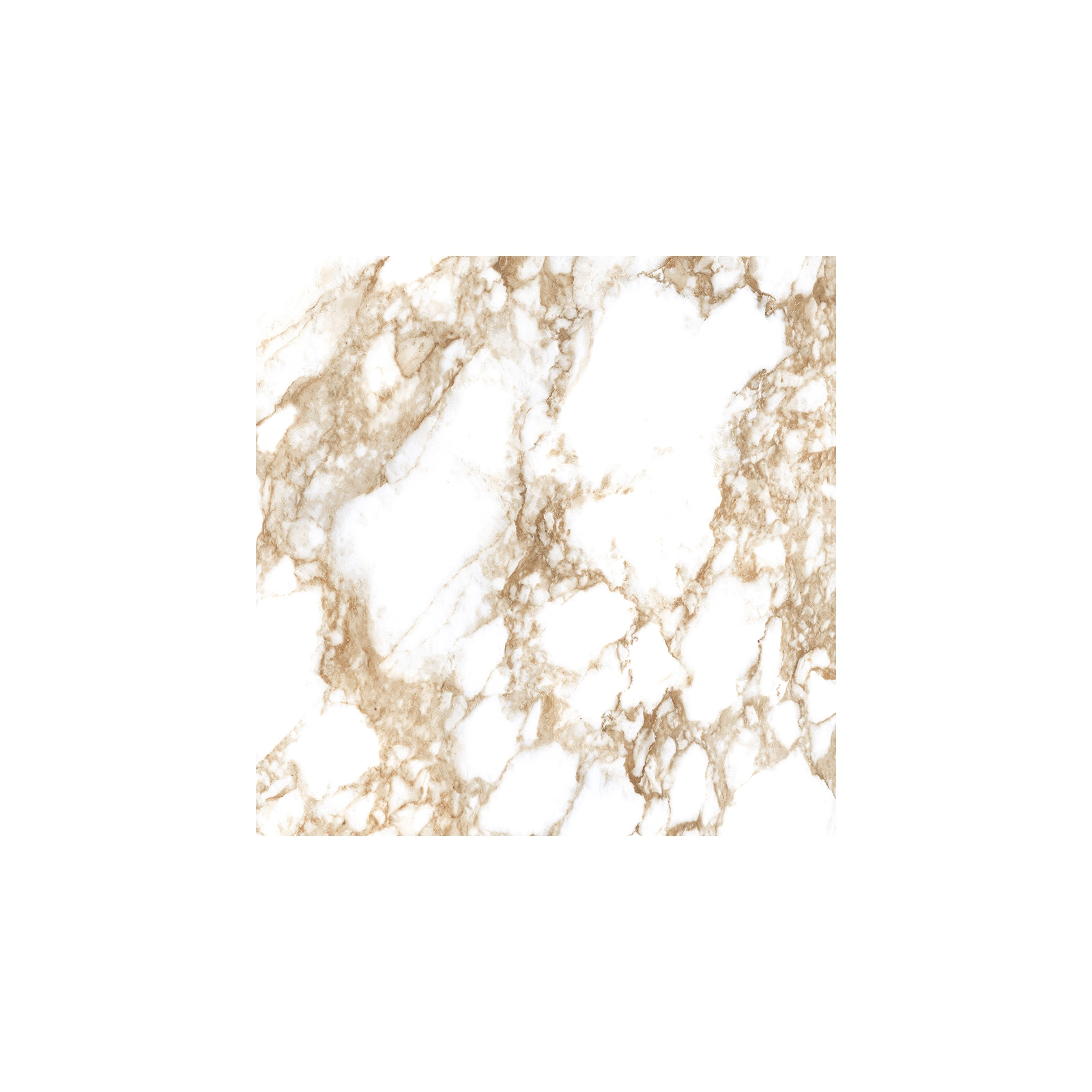 GOLDEN CALACATTA WHITE (P) PULIDO RECT 8MM 60 X 60