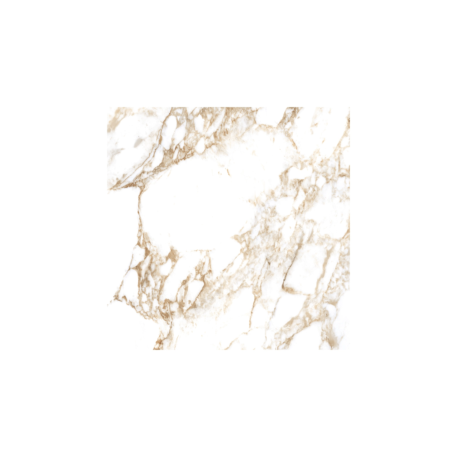 GOLDEN CALACATTA WHITE (P) PULIDO RECT 8MM 60 X 60
