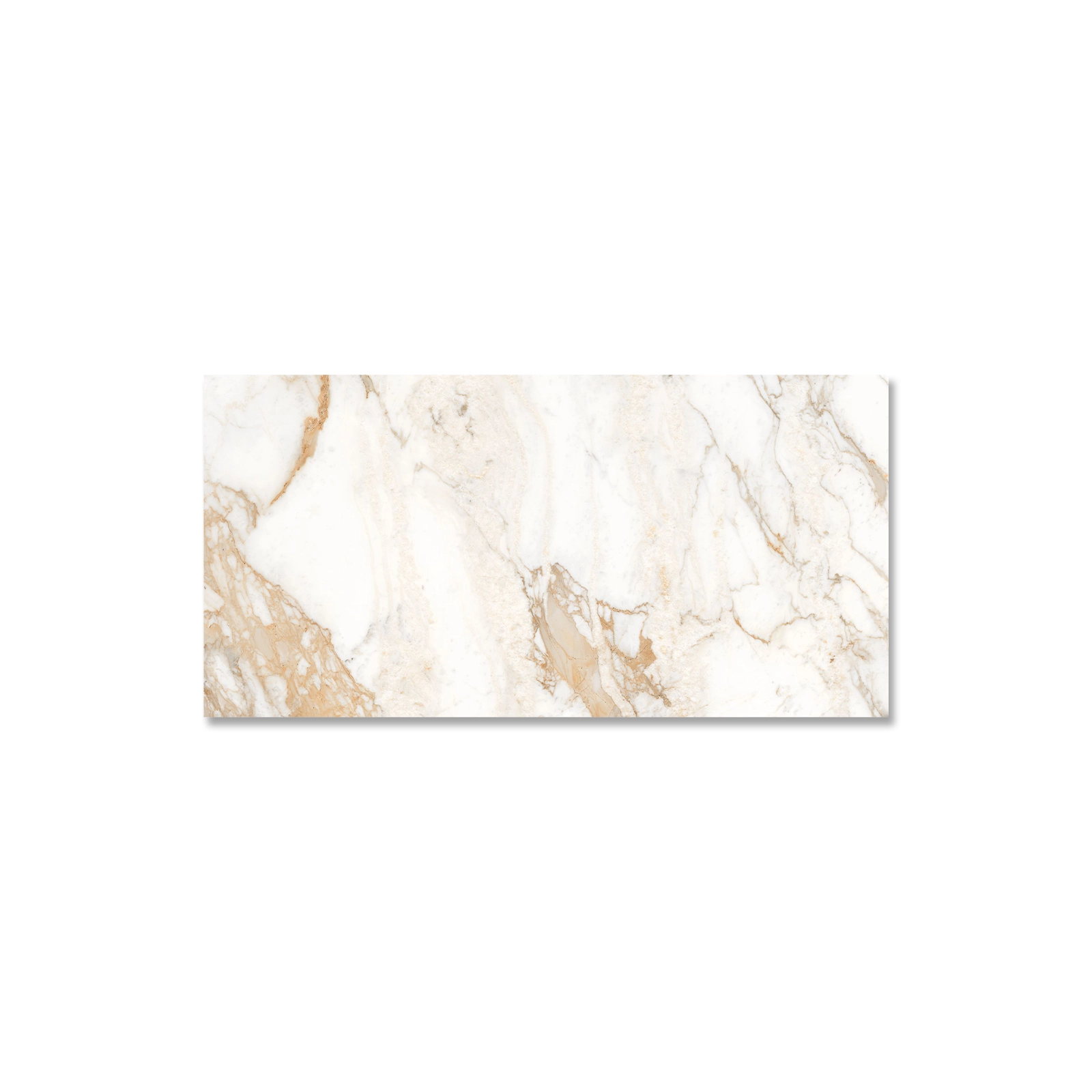 GOLDEN CALACATTA WHITE SILK RECT. 80 X 160