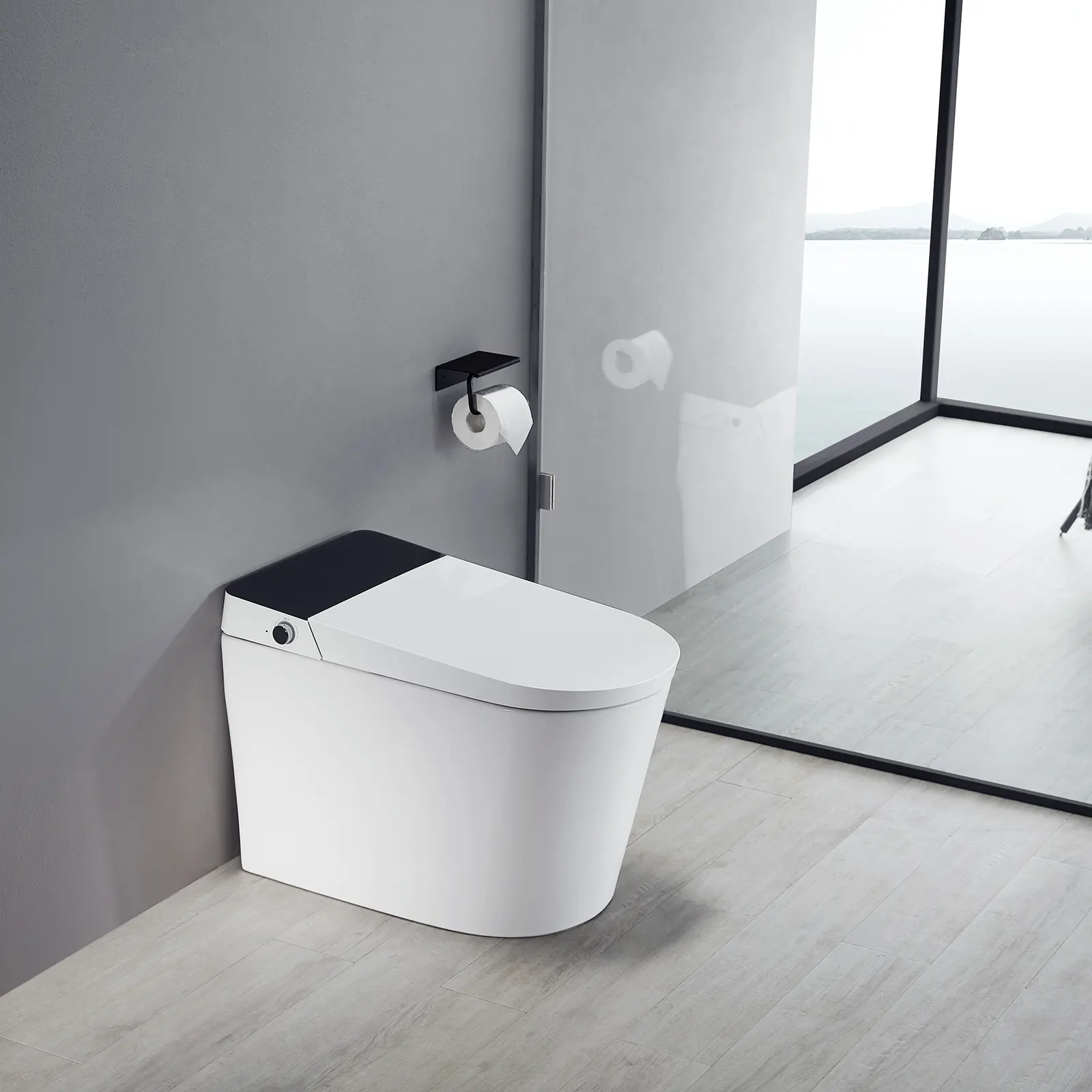 Inodoro Blanco Japonés Con Lavabo Imagen editorial - Imagen de blanco,  nadie: 205294210