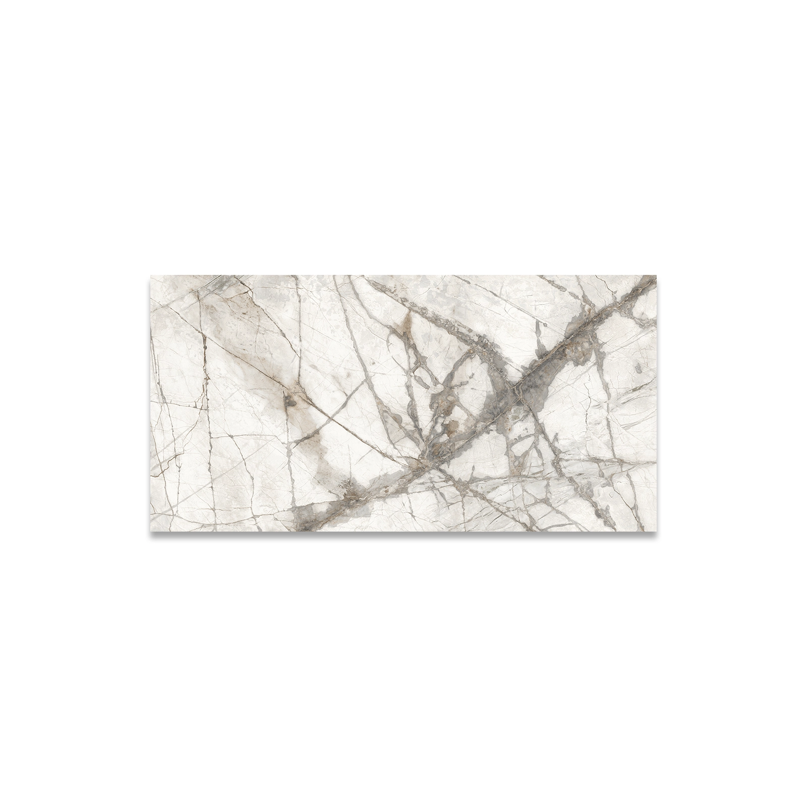 ARGOS GRIS MATE RECT. 60 X 120