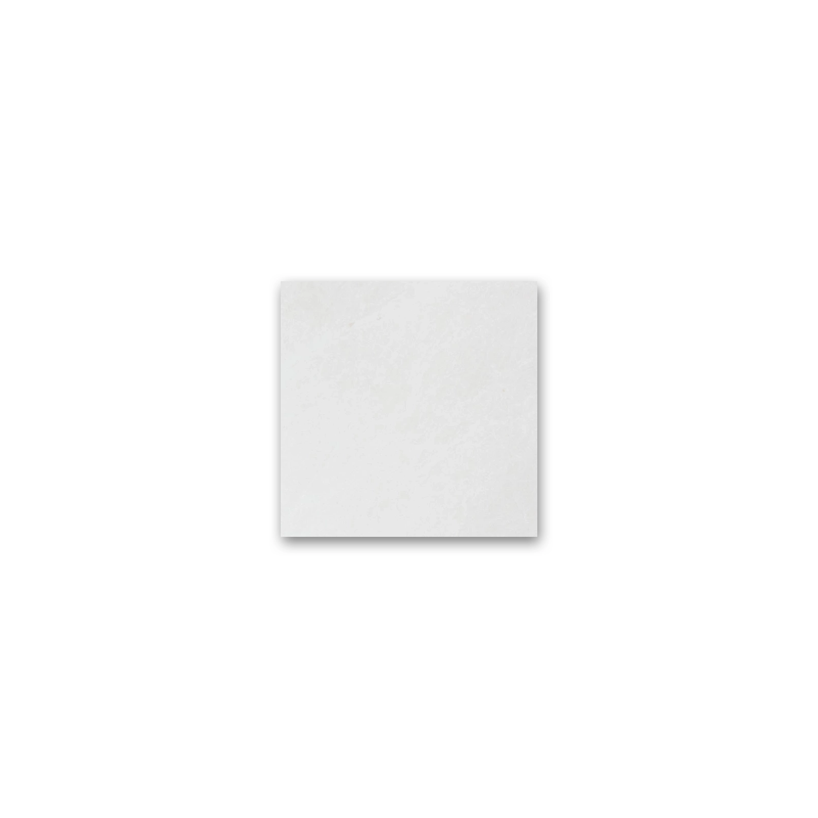 TOSCANA IVORI / TRAVISO BIANCO (P) 8MM 60 X 60