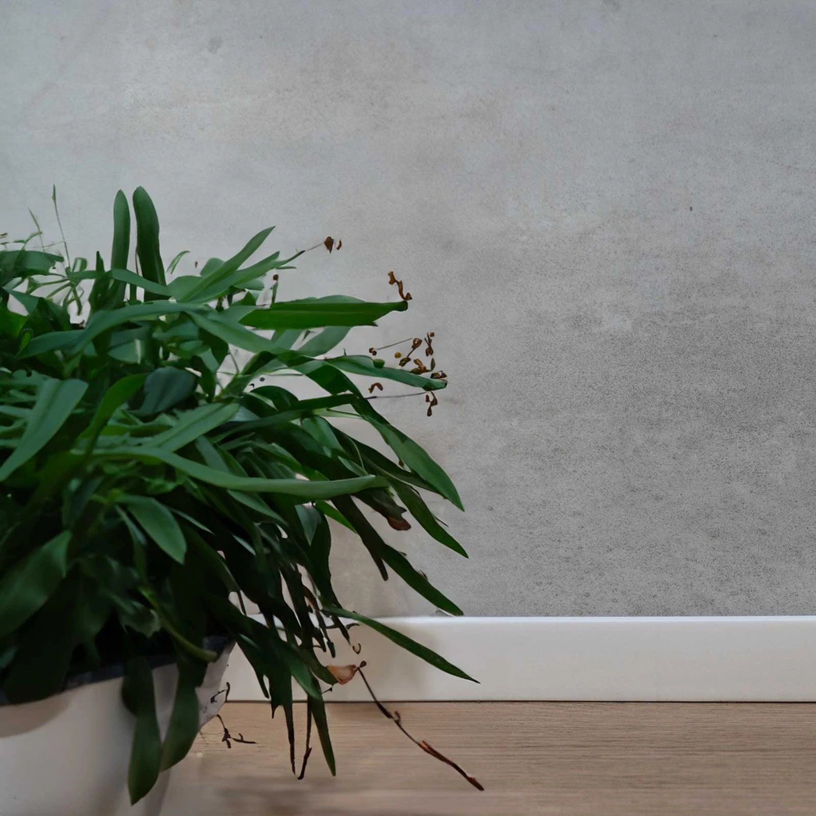 ZOCALO SQUARE MEDIUM FLEX BLANCO 13X66X2000MM